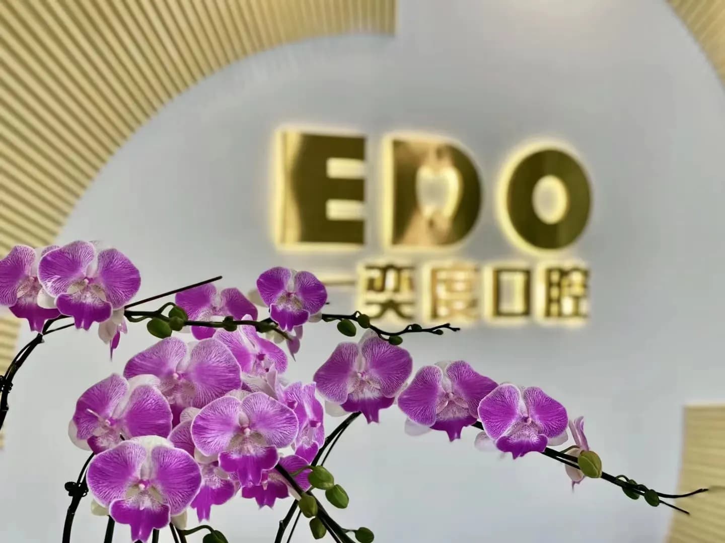 奕度口腔品牌形象墙