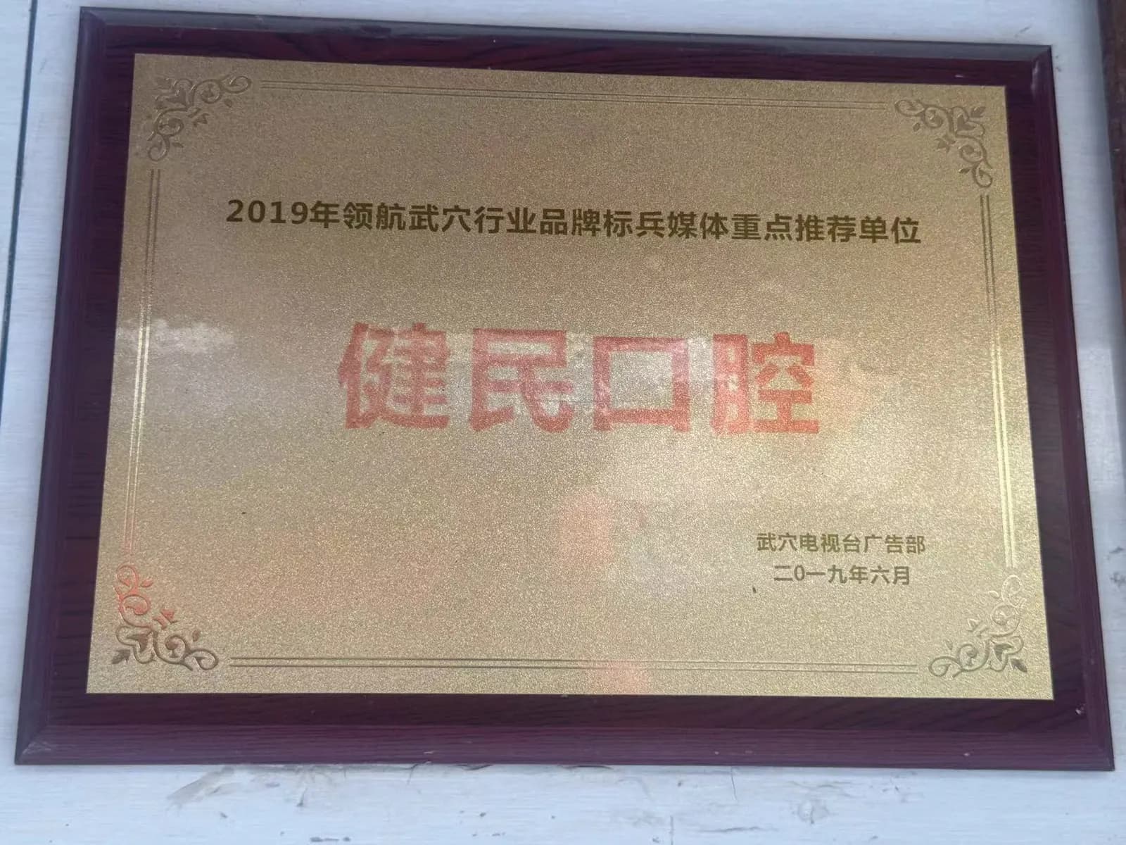 武穴健民口腔2019年行业品牌荣誉牌匾